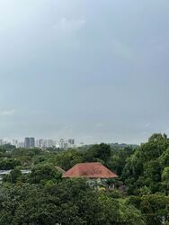 Leedon Residence (D10), Condominium #532718381